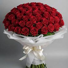 Букет 101 Красная роза Блэк Мэджик в Староминской