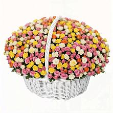 Премиум букет из: Розы в Староминской