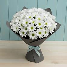 Букет цветов из:  Хризантемы #REPLACE_PRED# Староминской