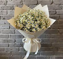 Букет цветов из:  Ромашки в Староминской