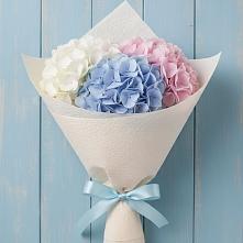 Букет цветов из:  Гортензия #REPLACE_PRED# Староминской