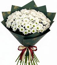 Букет цветов из:  Хризантемы #REPLACE_PRED# Староминской