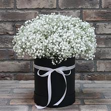 Цветочная композиция из Гипсофила в шляпной коробке #REPLACE_PRED# Староминской