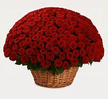 Премиум букет из: Розы в Староминской