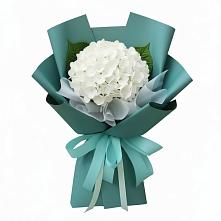 Букет цветов из:  Гортензия в Староминской